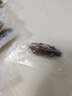 燈火島即食海參 大連生鮮冷凍遼刺參即食刺參 單個(gè)獨立包裝中秋海鮮禮盒 即食海參1000g（30-40只/斤） 曬單實(shí)拍圖
