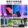 魚(yú)缸氧氣泵增氧機家用養魚(yú)打氧機小型YQT-60 5W單孔氣盤(pán)套餐 曬單實(shí)拍圖