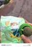 歡寵網(wǎng) 貓玩具貓咪貓薄荷球磨牙棒逗貓旋轉舔舔樂(lè )自嗨神器解悶木天蓼貓草粉磨牙啃咬糖貓貓小貓幼貓寵物用品 曬單實(shí)拍圖