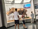 GENIOLAMODE短褲男夏季潮牌五分褲男短褲寬松休閑百搭工裝風(fēng)帥氣短褲 曬單實(shí)拍圖