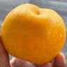 京覓山東蒙陰黃桃錦繡黃桃凈重4.5斤 單果150g+生鮮水果源頭直發(fā)包郵 曬單實(shí)拍圖