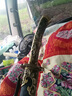 繡春刀雁翎刀錳鋼古代清刀加厚長(cháng)款清刀一體鍛造收藏送禮未開(kāi)刃 影霧繡春刀-古銅色 曬單實(shí)拍圖