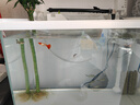 憨憨樂(lè )園魚(yú)缸過(guò)濾棉魚(yú)池養魚(yú)過(guò)濾材料生化凈化水質(zhì)空氣超濾海綿用品 8D2 曬單實(shí)拍圖