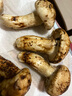 京地達 雅江新鮮松茸6-8cm凈重500g精品禮盒未開(kāi)傘新鮮菌菇源頭直發(fā)包郵 曬單實(shí)拍圖