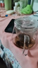 勤凱耐熱高溫玻璃茶壺過(guò)濾加厚透明單壺小號花茶壺家用茶水分離泡茶e 玻璃企鵝壺 480ml 曬單實(shí)拍圖