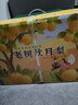 京鮮生青青大地萊陽(yáng)老樹(shù)秋月梨 6斤6粒 精品大果水果禮盒 曬單實(shí)拍圖