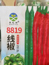 8819線椒種子香辣超皺皮紅高產(chǎn)農(nóng)家大田蔬菜種籽 *廠家直發(fā)#精品8819線椒辣椒種子 *粒粒精選#原裝一包約(100粒) 曬單實(shí)拍圖