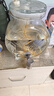 玉蟬老酒 玉蟬桶裝酒 濃香型白酒 52度 2.5L桶裝口糧酒泡酒 曬單實(shí)拍圖