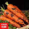 京喜加新鮮現挖現發(fā)胡蘿卜農家自種蔬菜水果沙地紅蘿卜 帶泥胡蘿卜3斤 含箱 曬單實(shí)拍圖