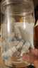 [秀瞳]馬來(lái)酸噻嗎洛爾滴眼液 5ml:25mg 10支裝 曬單實(shí)拍圖