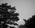 凌云鶴拔牙神器拔牙鉗童拔牙神器家用乳牙換牙牙齒殘根鉗 兒童乳牙上下通用鉗套裝 【優(yōu)質(zhì)精鋼 防滑設計】 曬單實(shí)拍圖