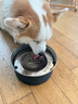 KimPets狗碗狗盆不銹鋼貓碗懸浮水碗狗狗喝水不濕嘴狗食盆慢食碗狗飲水器 【食品級304不銹鋼】珍珠白 懸浮水碗1000ml 曬單實(shí)拍圖