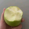 有機蘋果青蘋果新果陜西渭北綠色新鮮自然成熟不打蠟水果禮盒生鮮 70mm（30枚）今年新果 曬單實拍圖
