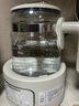 摩飛電器（Morphyrichards）全玻璃養(yǎng)生壺家用燒水壺多段控溫電熱水壺極速風(fēng)冷恒溫壺沖奶泡奶機(jī)MR5602 1.2L 椰奶白 曬單實(shí)拍圖