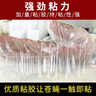 地依貓粘蠅紙板防蚊貼蒼蠅紙粘蠅貼強(qiáng)力蠅蟲貼滅殺果蠅飛蟲捕蠅神器20張 曬單實拍圖