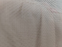 LYNN去毛球器 毛球修剪器衣服起球打除吸刮黏剃毛球器粘毛器充電式 白 曬單實(shí)拍圖