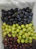 新疆葡萄吐魯番三色葡萄無(wú)核白無(wú)核籽玻璃翠葡萄整箱順豐冷運 4斤 曬單實(shí)拍圖