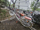 飛鴿（FLYING PIGEON）自行車(chē)成人通勤車(chē)自行車(chē)學(xué)生單車(chē)成人自行車(chē)通勤自行車(chē)女士自行車(chē) 標配珍珠白|單速|(zhì)輻條輪+禮包 26寸適合160-185cm 曬單實(shí)拍圖