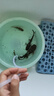 森森魚(yú)缸增氧泵水族箱氧氣泵LQE-100家用小型充氧泵4W單孔+全套配件 曬單實(shí)拍圖