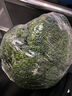 西蘭花約450g 曬單實拍圖