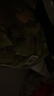 babycare皇室獅子王國弱酸紙尿褲 mini裝NB34片便攜裝尿不濕 曬單實(shí)拍圖