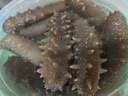 鳳年堂大連淡干海參干貨 250g20-30只半斤 底播遼刺參海鮮特產(chǎn)節日禮品 曬單實(shí)拍圖