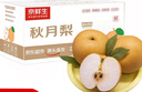 京鮮生山東煙臺(tái)萊陽(yáng)秋月梨凈重4.5斤單果300g+ 新鮮水果 源頭直發(fā)包郵 曬單實(shí)拍圖