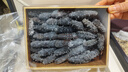 大連海參深海9年淡干海參遼參干貨500g刺參非即食海參禮盒孕婦 500g禮盒【一斤裝】 30-40頭/1斤 曬單實拍圖