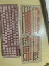 羅技（Logitech）ALTO KEYS K98M/K98S客制化機械鍵盤 無線藍牙鍵盤雙模mac ipad鍵盤98鍵游戲辦公家用鍵盤AI熱插拔 K98S玫瑰粉+粉底液鍵帽 曬單實拍圖