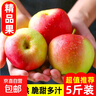 2025頭茬現摘嘎啦青蘋(píng)果美八脆甜爽口冰糖心蘋(píng)果丑蘋(píng)果整箱猴哥 帶箱5斤（果經(jīng)65mm+） 曬單實(shí)拍圖
