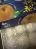 秦悅仙果鮮【京嚴選-多地隔日達】山東秋月梨新鮮水果冰糖梨中秋送禮整箱 精選5斤巨無(wú)霸【300-400g+】?jì)糁?.5 曬單實(shí)拍圖