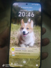 榮耀X70 8+128 幻夜黑 金標十面抗摔 8300mAh青海湖電池 IP69防水 榮耀綠洲護眼屏 AI手機 曬單實(shí)拍圖