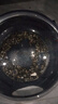 孔雀魚天使魚 純種觀賞魚淡水好養(yǎng)熱帶小型觀賞魚 孔雀魚12條送備損3條【發(fā)15條】 曬單實(shí)拍圖