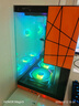AMD銳龍5 9500F 5700X主機5060/5060TI/7650GRE顯卡 打瓦三角洲行動(dòng)游戲電競直播DIY整機臺式組裝電腦 DIY升級包（聯(lián)系客服） 曬單實(shí)拍圖