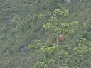鴻星爾克運動鞋跑鞋男鞋軟彈減震男子凌躍防滑耐磨跑步鞋 51125103323 曬單實拍圖