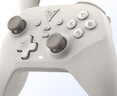 飛智沙漠狐 多模版無(wú)線(xiàn)游戲手柄 類(lèi)xbox霍爾扳機switch電腦PC手機steamNS雙影奇境 曬單實(shí)拍圖