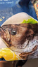 朵芙深海鰈魚(yú)身 鰈魚(yú)段 比目魚(yú)鴉片魚(yú)蝶魚(yú)碟魚(yú)頭整條鮮活冷凍送禮年貨 鰈魚(yú)身 450g -550g*2只（凈重） 曬單實(shí)拍圖