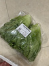 云南鮮生菜約400g 曬單實拍圖