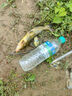 民間藝人魚(yú)漂1號漂精準吃鉛浮漂高靈敏魚(yú)漂醒目加粗納米浮漂淺水加粗魚(yú)漂 淺水漂07-1建議桿長(cháng)4.5吃鉛1.6 曬單實(shí)拍圖