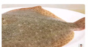 鮮活多寶魚(yú)450-550g/條 曬單實(shí)拍圖