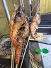 貝傅特果木炭戶(hù)外高溫燒烤速燃環(huán)保無(wú)煙碳易燃炭圍爐煮茶純竹炭送炭夾 曬單實(shí)拍圖