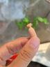 美贊臣dha兒童葉黃素復合神經(jīng)酸ps磷脂酰絲氨酸學(xué)生補腦青少年0-3-6-181瓶-提高免疫記憶力4-12-17歲增加強大腦力素嬰幼兒初高中考生成年人提神腦力素魚(yú)肝藻油專(zhuān)注抗疲勞 曬單實(shí)拍圖