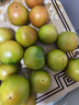 京鮮生 山東鐵皮草莓西紅柿 凈重4.5斤 單果60-150g水果番茄源頭直發(fā) 曬單實(shí)拍圖
