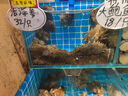 阿道夫輕柔絲滑洗發(fā)水680ml 撫順毛躁 精油香氛洗發(fā)露 曬單實拍圖