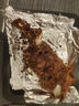 1號會員店內蒙錫林郭勒散養(yǎng)帶骨羔羊前腿1.1kg 純正烏珠穆沁草地羊肉 曬單實拍圖