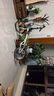 大行（DAHON）折疊自行車20寸6速超輕千元城市折疊車男女休閑城市單車HAT061 白色【英文外銷版】 曬單實拍圖