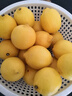 優(yōu)味集進(jìn)口新奇士檸檬【JD順豐現貨速發(fā)】新鮮黃檸檬生鮮水果整箱包郵 2500g凈重裝（40%選擇-性?xún)r(jià)比） 商超A+級單果120-150g 曬單實(shí)拍圖