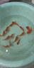 百綸木千草金魚(yú)觀(guān)賞魚(yú)冷水魚(yú)不加溫新手好養純種鳳尾大紅草魚(yú)苗 3-5cm草金魚(yú)20條 送魚(yú)糧 曬單實(shí)拍圖