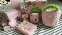 INSTAX富士instax立拍立得 一次成像相機 mini12精美禮盒 櫻花寶貝 含10張fafa花邊相紙 曬單實拍圖