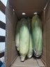 京鮮生&佳農(nóng)寶菜山東新鮮水果玉米健康輕食玉米4-6根4.5斤裝源頭直發(fā) 曬單實拍圖